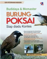 Image of Budidaya & Memaster Burung Poksai Siap Diadu Kontes