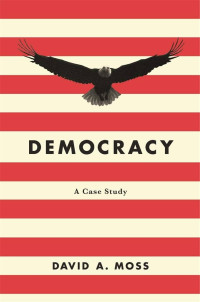 Image of Democracy