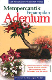 Image of Mempercantik Penampilan Adenium
